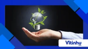 Do petróleo ao pinheiro: como fabricar plásticos a partir de biomassa