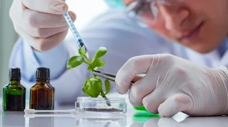 Química Verde: Como Reagentes Sustentáveis Estão Revolucionando a Indústria