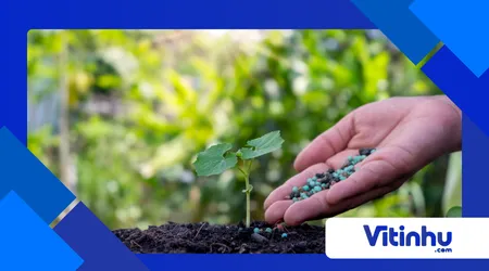 Bioplásticos que viram adubo: compostos químicos a favor do solo