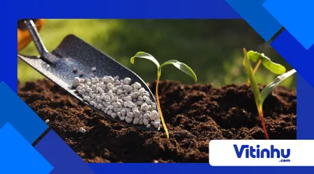 Bioplásticos que viram adubo: compostos químicos a favor do solo