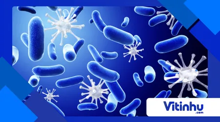 a química do sabão combate vírus e bactérias