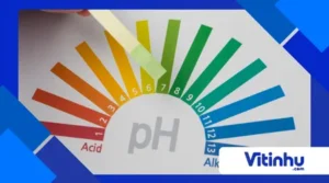 Você consegue identificar o pH dos ingredientes usando apenas o paladar