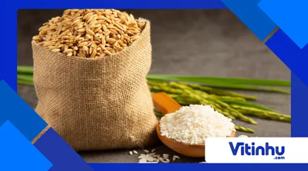 por que o arroz queima por baixo mesmo com água?