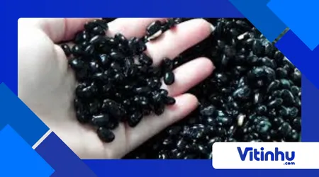 Por que o feijão provoca gases