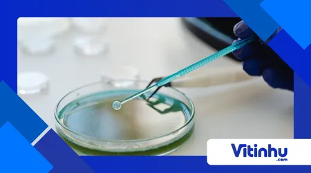 impermeabilizante para tecidos do ponto de vista químico