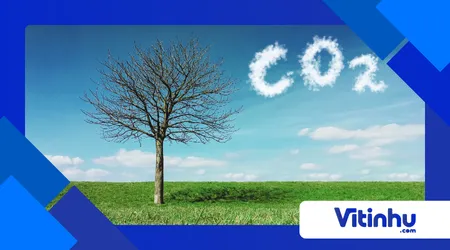 capturar gás carbônico com bicarbonato e vela