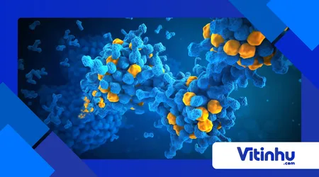 moléculas com palitos e balas