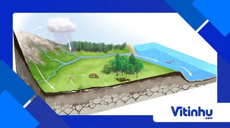 Simulando o ciclo da água com plástico, copo e sol