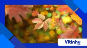 Por que as folhas mudam de cor no outono?