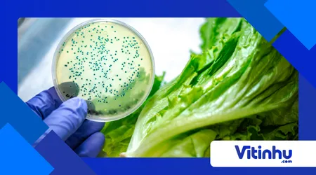 Química da contaminação cruzada