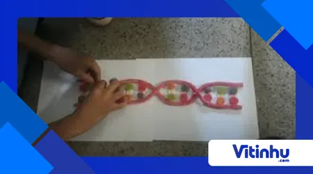 Modelo de DNA com jujubas