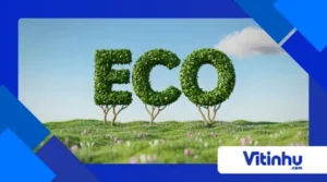 Produtos ecológicos: como verificar se são realmente sustentáveis