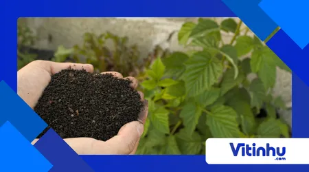 Compostagem química vs biológica