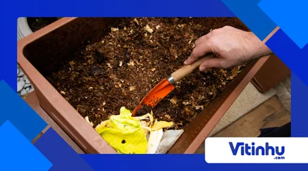 Compostagem química vs biológica