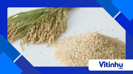 Por que o arroz empapa